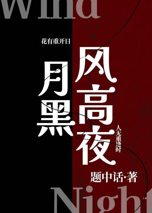 月黑风高夜