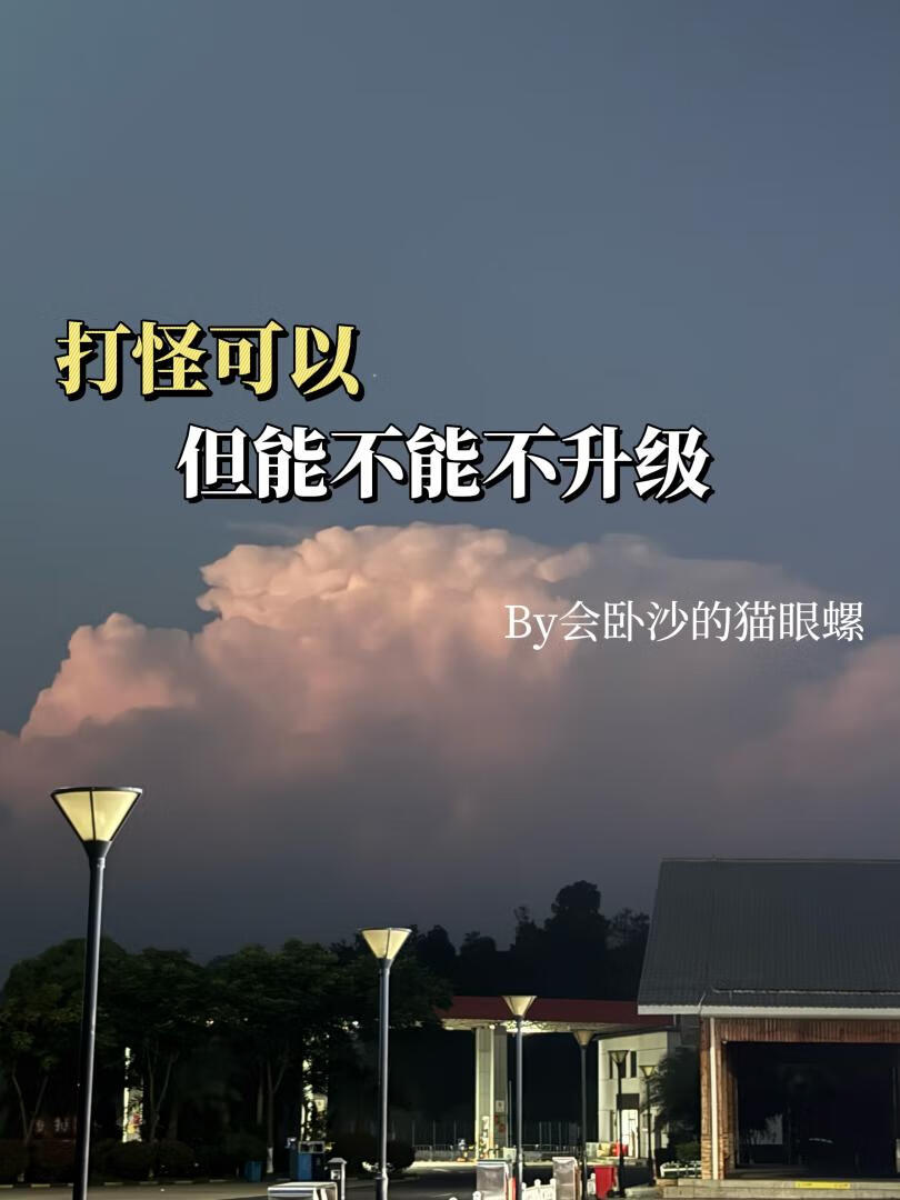 打怪可以，但能不能不升级